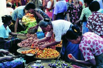 Circuit Culture Birmanie