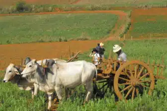 Voyage hors sentiers battus en Birmanie – Image 3