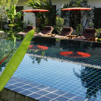 Blue Bird (New Bagan)