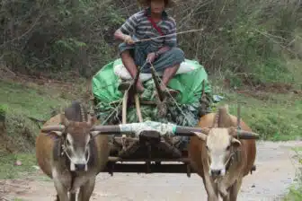 Kalaw