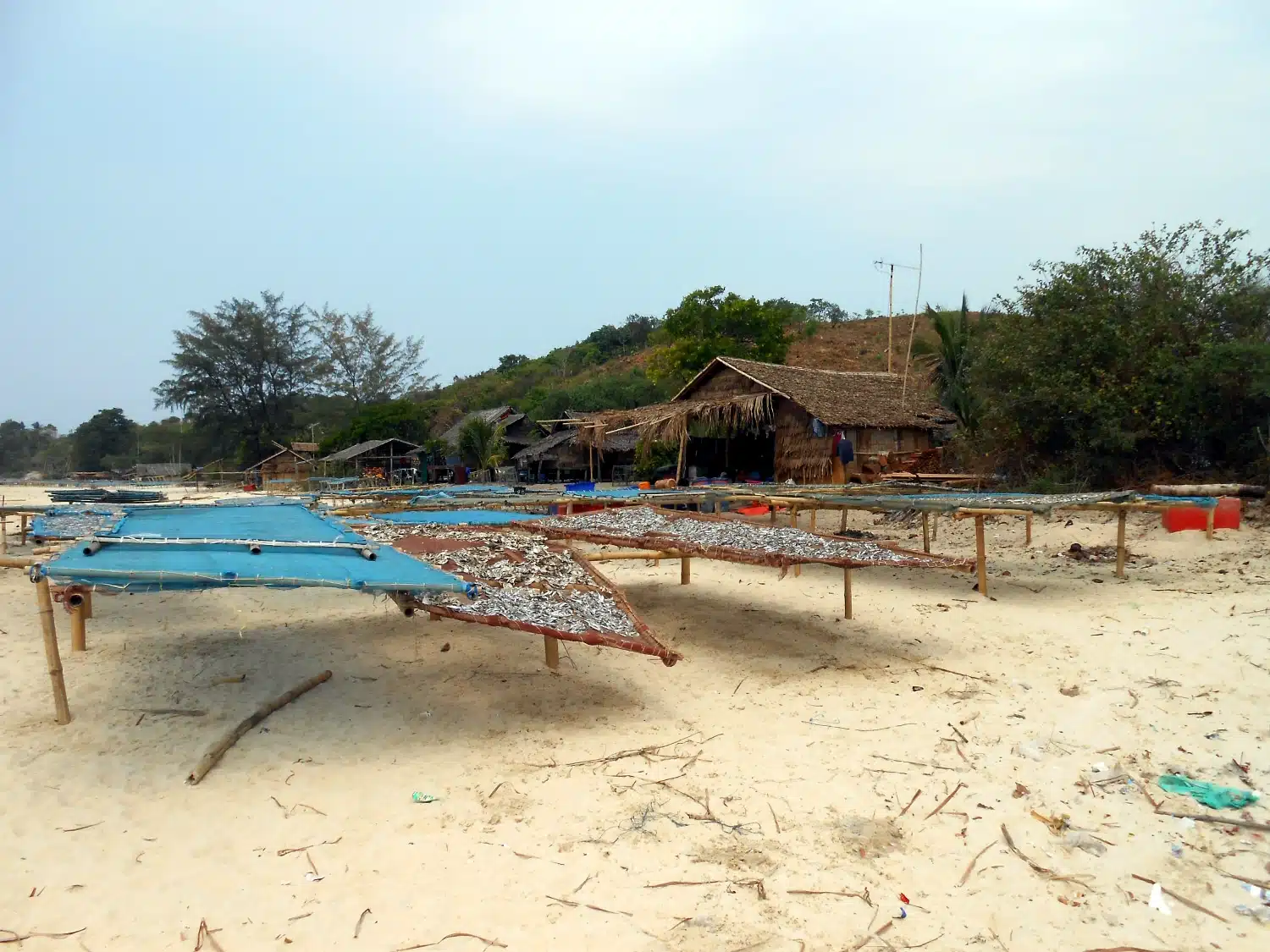 La Birmanie des origines – Les Îles Mergui – Image 2