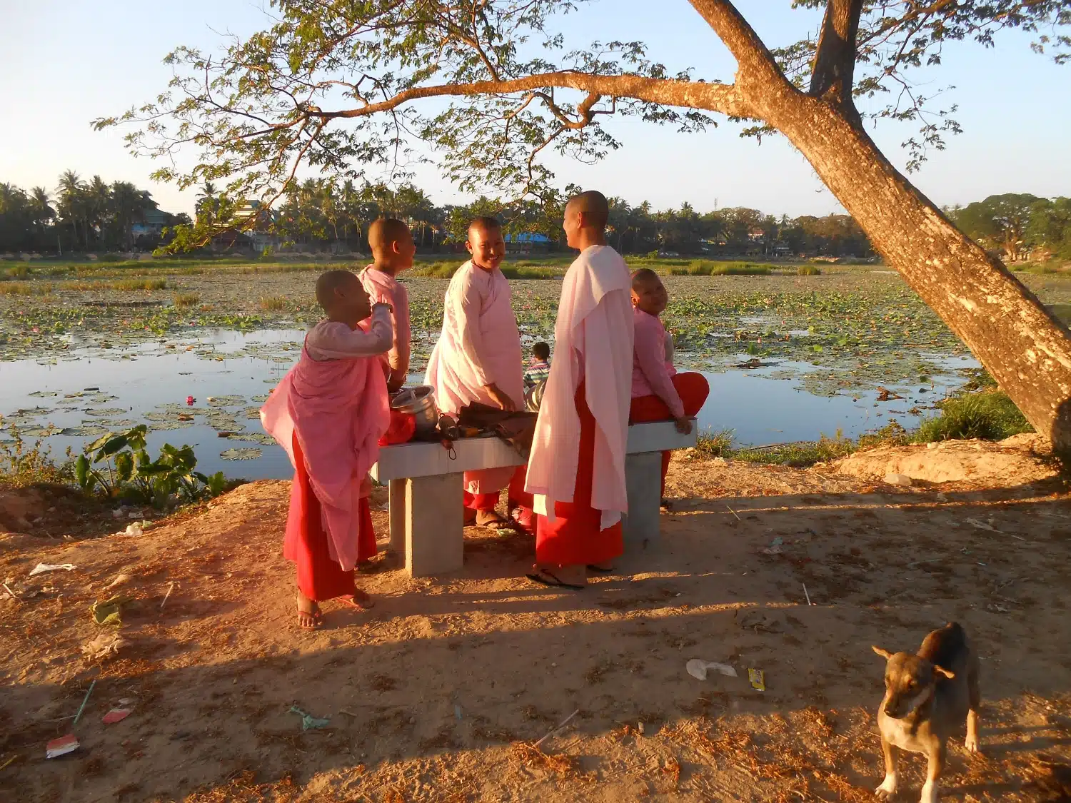 La Birmanie des origines – Les Îles Mergui – Image 7